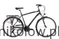 Wagant czarno-żółtozłoty [wiz] - profil_WEB.jpg