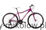 Rower Romet Jolene 6.0