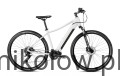 Rower ROMET Orkan MM 2   srebrno-złoty.jpg
